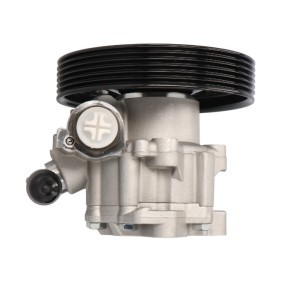 Acquista Pompa idraulica, sterzo da PROCARO 11-PE-300 a buon mercato per soli 127,50 €