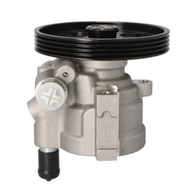 Acquista Pompa idraulica, sterzo da PROCARO 11-RE-200 a buon mercato per soli 144,30 €