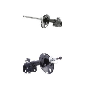 Compre Amortecedor da RIDEX 854S20373 a um preço baixo por 74,23 €