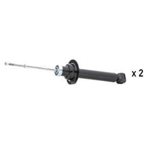Stoßdämpfer von RIDEX