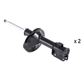 Stoßdämpfer von RIDEX