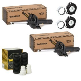 Stoßdämpfer-Set MNE1185N0023