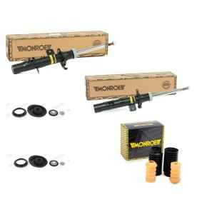 Stoßdämpfer-Set MNE1185N0029