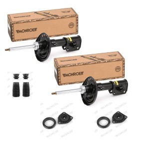 Stoßdämpfer-Set MNE1185N0049