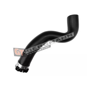 Compre Tubo flexível do ar de sobrealimentação da GT-BERGMANN GT52-860 a um preço baixo por 67,81 €