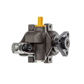 Servopumpe SS 1139 für TRANSIT MK-5 Bus (E_ _) für 36,26 CHF