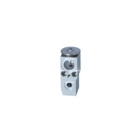 Kühler, Motorkühlung 504143