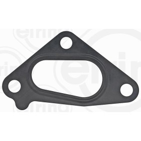 Dichtung, Thermostatgehäuse 795.310