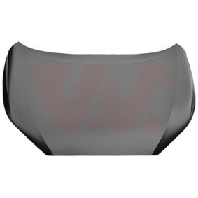 Motorhaube 5310660