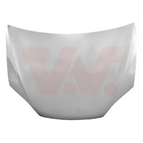 Motorhaube 6905670