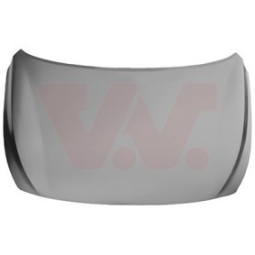 Motorhaube 8254660