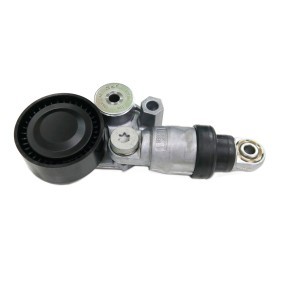 Acquista Tenditore cinghia servizi da SKF VKM 64065 a buon mercato per soli 78,22 €
