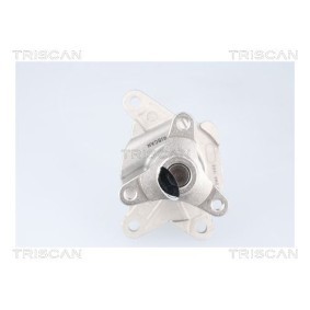 Wasserpumpe von TRISCAN