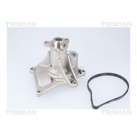 Wasserpumpe von TRISCAN