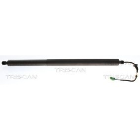 Heckklappendämpfer 8710 24302