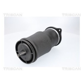Acquista Molla pneumatica da TRISCAN 8720 23210 a buon mercato per soli 133,68 €