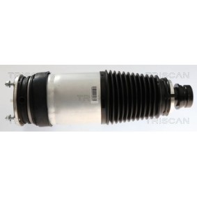 Acquista Molla pneumatica da TRISCAN 8720 81102 a buon mercato per soli 719,38 €