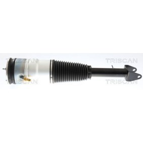 Comprar Amortiguador neumático de TRISCAN 8720 81105 a bajo precio de 735,51 €
