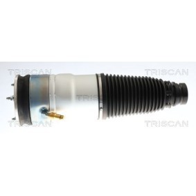Acquista Molla pneumatica da TRISCAN 8720 81106 a buon mercato per soli 614,21 €