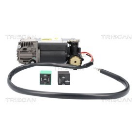 Acquista Compressore sospensioni da TRISCAN 8725 11107 a buon mercato per soli 459,23 €