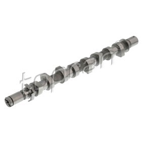 Nockenwelle 702 832