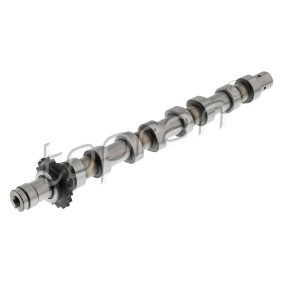Nockenwelle 724 450