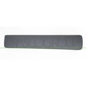 Compre Friso, porta da PRASCO DS9521404 a um preço baixo por 53,39 €