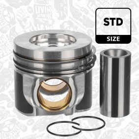 Achetez des Piston ET ENGINETEAM PM015900 à prix pour 221,77 €