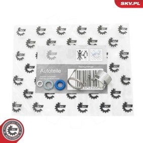 Injektor-Reparatursatz 53SKV295