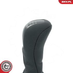 Ausgleichsbehälter 61SKV532