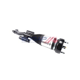 Luftfederbein C3426157 von BOGAP günstig für 822,10 € online kaufen