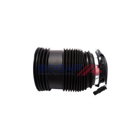 Luftfeder, Fahrwerk C3432114 von BOGAP günstig für 446,18 € online kaufen