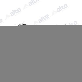 Comprar Juego de pastillas de freno de ALTE AUTOMOTIVE 138007BAL a bajo precio de 42,80 €