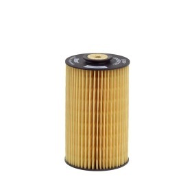 Compre Filtro de combustível da HENGST FILTER E10KP D10 a um preço baixo por 6,36 €