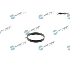 Dichtung, Kühlmittelrohr DRM02503