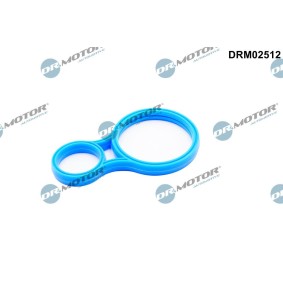 Dichtung, Thermostat DRM02512