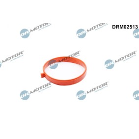 Dichtung, Drosselklappe DRM02513
