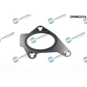 Ansaugkrümmerdichtung von DR.MOTOR AUTOMOTIVE