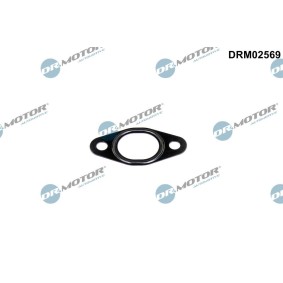Dichtung, Leitung AGR-Ventil DRM02569