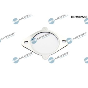 Osta DR.MOTOR AUTOMOTIVE Egr tiiviste netistä CX-5 (KE, GH)-mallille edulliseen hintaan