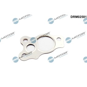 Osta DR.MOTOR AUTOMOTIVE Egr tiiviste netistä CX-5 (KE, GH)-mallille edulliseen hintaan