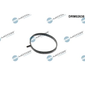 Dichtung, Drosselklappe DRM02638