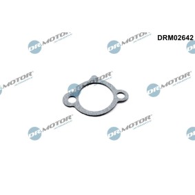 Dichtung, Steuerkettenspanner DRM02642