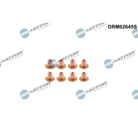 Ventilschaftdichtung DRM02645S