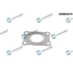 Turboladerdichtung von DR.MOTOR AUTOMOTIVE