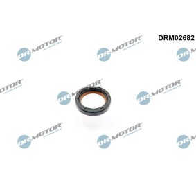 Acquista Paraolio albero a camme da DR.MOTOR AUTOMOTIVE DRM02682 a buon mercato per soli 10,37 €