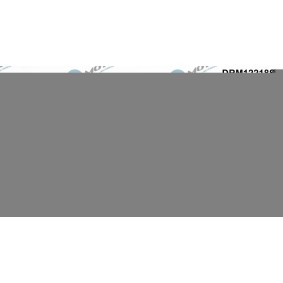 Dichtungssatz, Zylinderkopf DRM12218SL