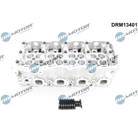 Zylinderkopf DRM13401