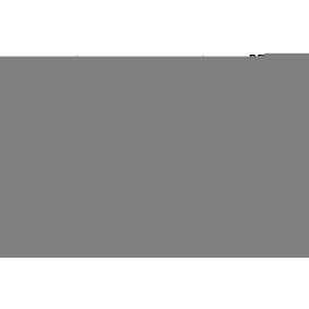 Zylinderkopf DRM13403