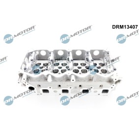 Zylinderkopf DRM13407